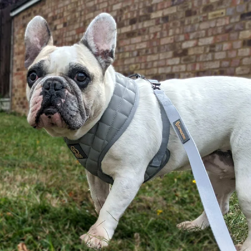 CatwalkDog Grey Paris Quilted Harness