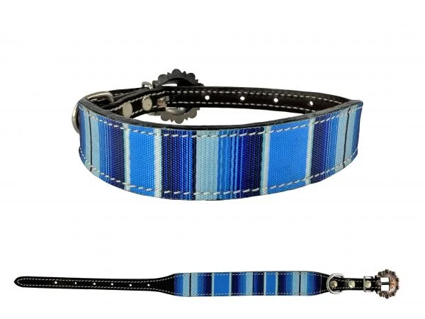 Dark oil leather dog collar with blue southwest nylon overlay and copper hardware.