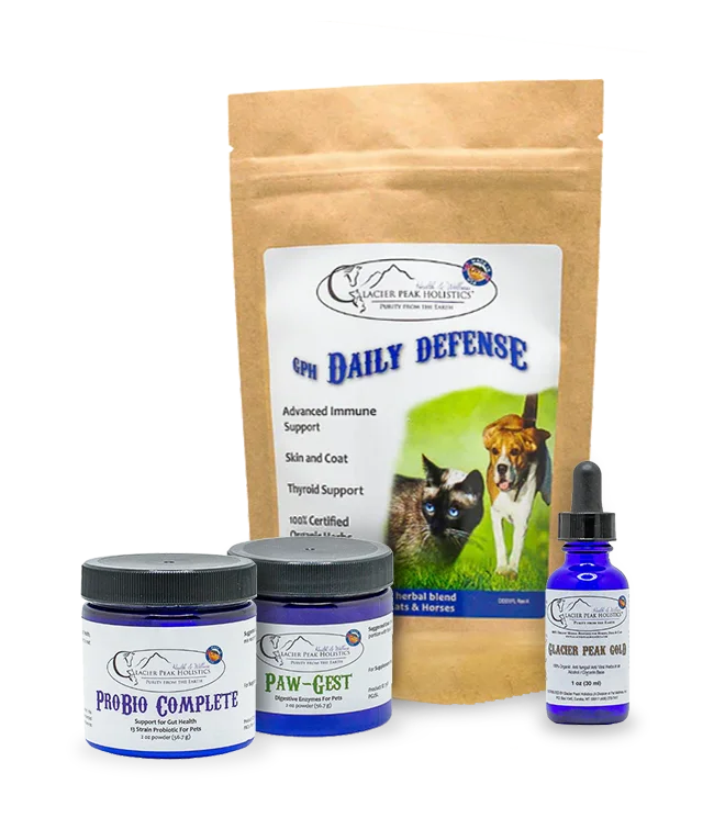 "Get 'em Healthy, Keep 'em Healthy" Supplement Bundle