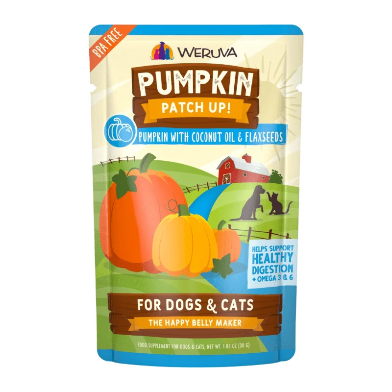 Wet Food Supplement For Dogs & Cats - PUMPKIN PATCH UP! - Pumpkin with Coconut Oil & Flaxseeds