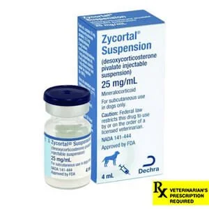 Rx Zycortal Suspension, 25 mg/mL, 4 mL