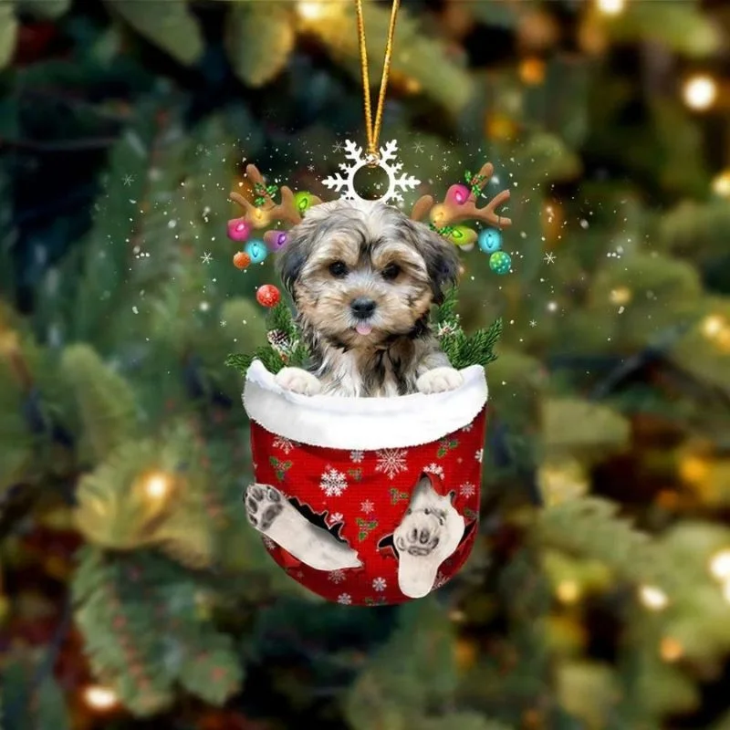 Brown Shorkie In Snow Pocket Christmas Ornament SP125