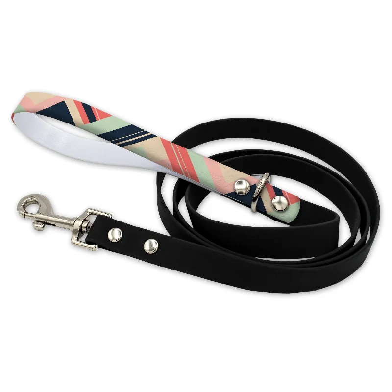 Color Blocked Warm Waterproof Leash With Silver Snap Hook