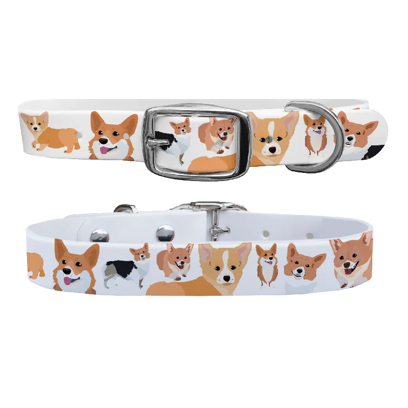 Corgi Dog Collar With Silver Buckle