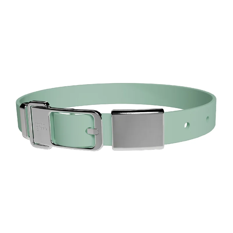 frank green Mint Gelato Dog Collar and Tag Large