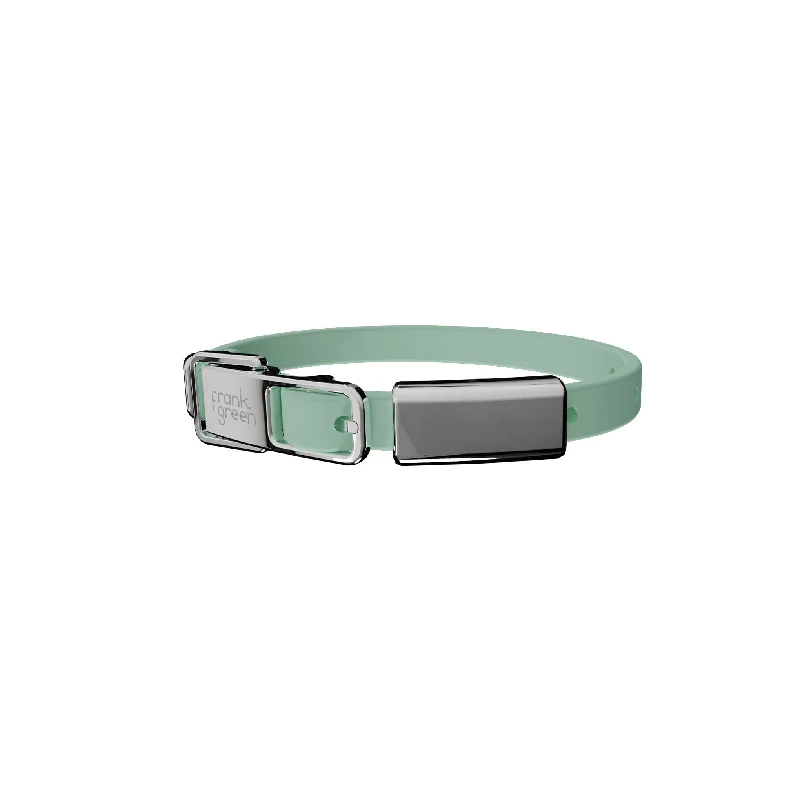 frank green Mint Gelato Dog Collar and Tag Small