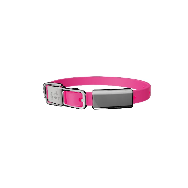 frank green Neon Pink Dog Collar and Tag Small