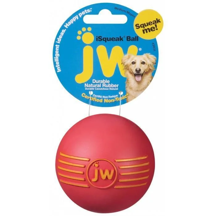 JW iSqueak Ball Medium Dog Toy