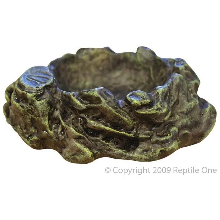 Reptile One Reptile Dish Medium***