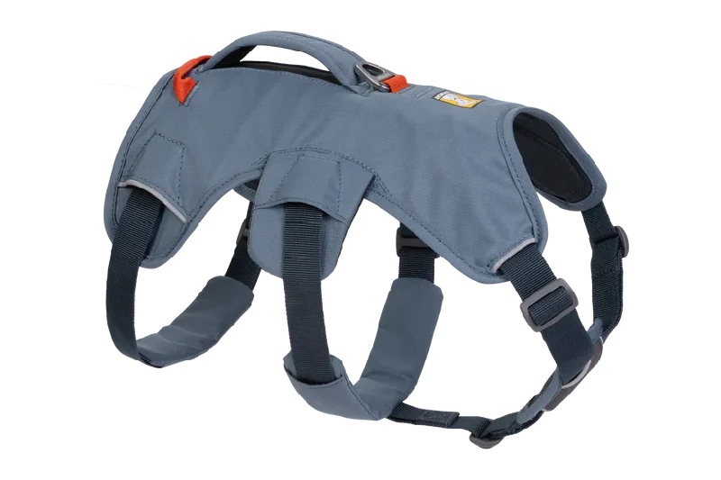 Web Master Dog Harness with Handle from Ruffwear